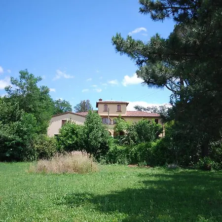 Concino